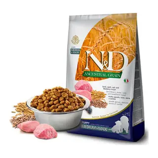 Ancestral Grain Kuzulu Yaban Mersinli Orta ve Büyük Irk Düşük Tahıllı Yavru Köpek Maması 12 Kg