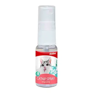 Catnip Kedi Otu Spreyi 15 Ml