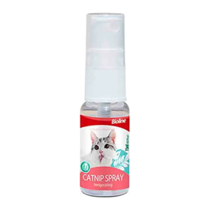 Catnip Kedi Otu Spreyi 15 Ml