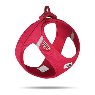 Vest Harness Köpek Göğüs Tasması Kırmızı Small 38,3x43,3 Cm