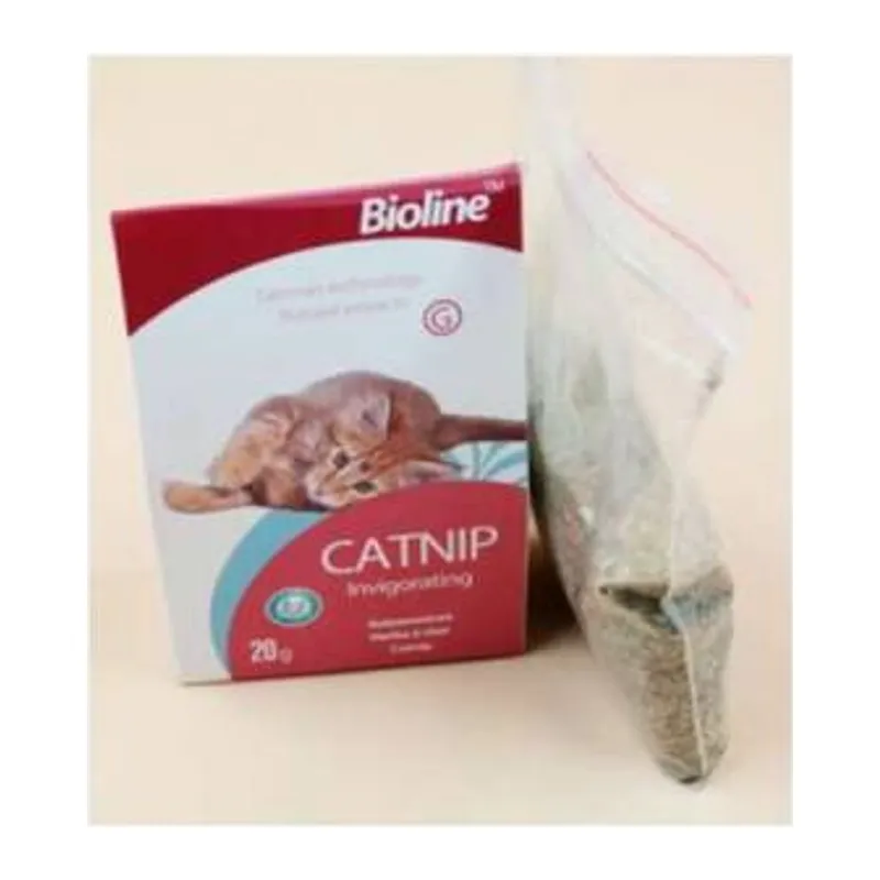 Catnip Kedi Otu 20 Gr