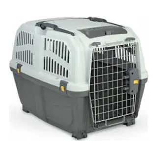 6 Iata Tekerleksiz Plastik Kedi ve Köpek Taşıma Kafesi 92x63x70 Cm