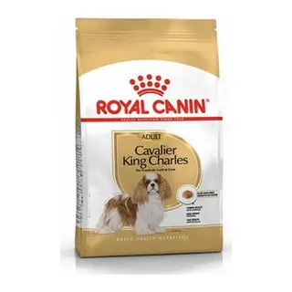 Cavalier King Charles Adult Yetişkin Köpek Maması 1,5 Kg
