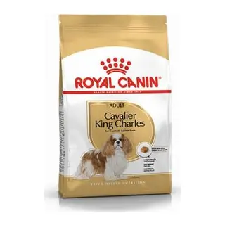 Cavalier King Charles Adult Yetişkin Köpek Maması 3 Kg