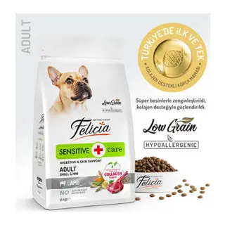 HypoAllergenic Small Mini Kuzulu Küçük Irk Düşük Tahıllı Yetişkin Köpek Maması 6 Kg