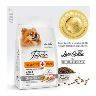 HypoAllergenic Small Mini Somonlu Küçük Irk Düşük Tahıllı Yetişkin Köpek Maması 6 Kg