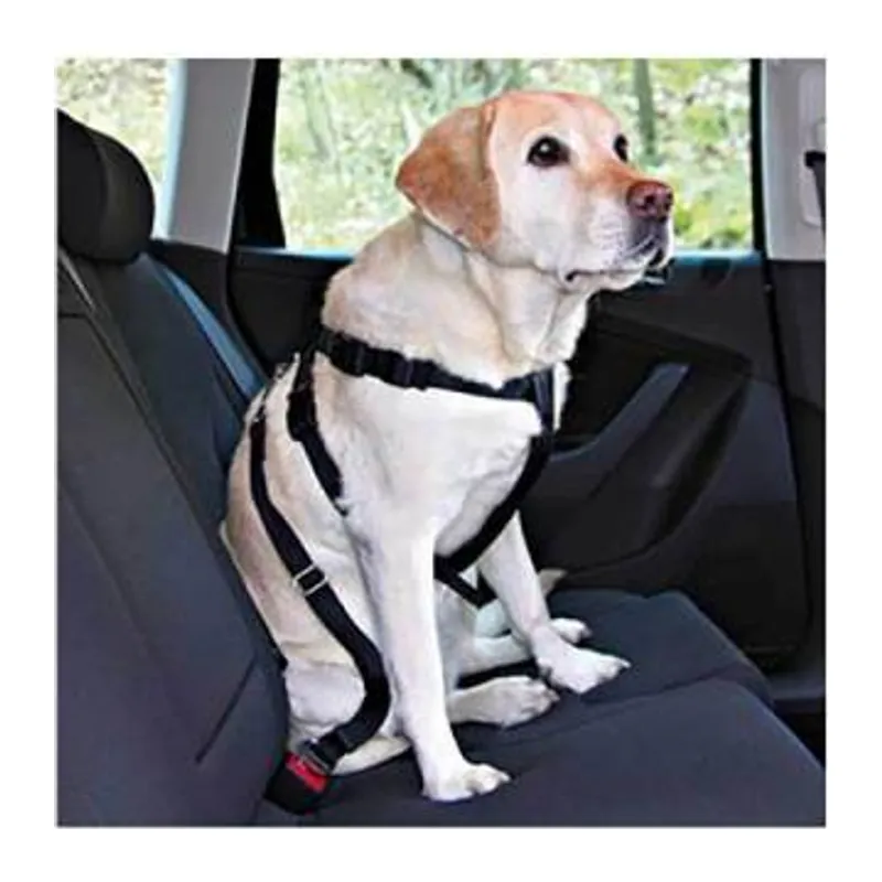 Köpek Emniyet Kemeri Medium 50-70 Cm