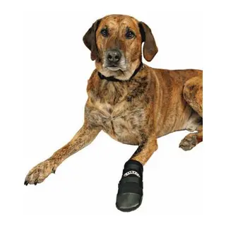 Neopren Köpek Patiği 2 Adet Siyah XXXL