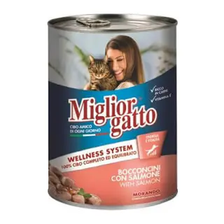 Somon Balıklı Yetişkin Kedi Konservesi 405 Gr