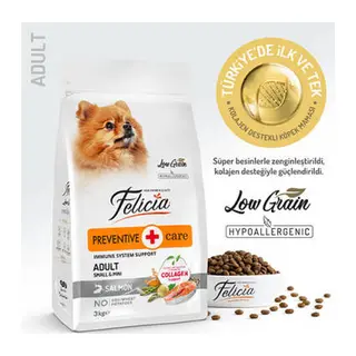 HypoAllergenic Small Mini Somonlu Küçük Irk Düşük Tahıllı Yetişkin Köpek Maması 3 Kg