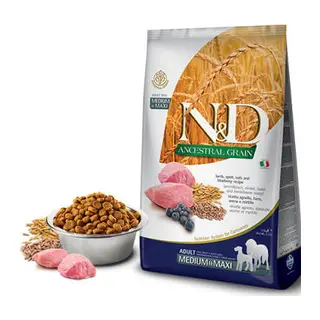 N&D Ancestral Grain Medium Maxi Yaban Mersinli Kuzulu Düşük Tahıllı Yetişkin Köpek Maması 12 Kg