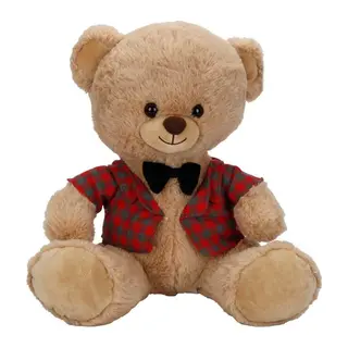 4810 PELUŞ AYI ELBİSELİ 32CM 2A