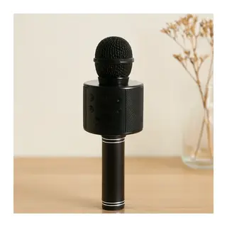 Kablosuz Karaoke Mikrofon Hoparlör (USB/TF/AUX, 800mAh)