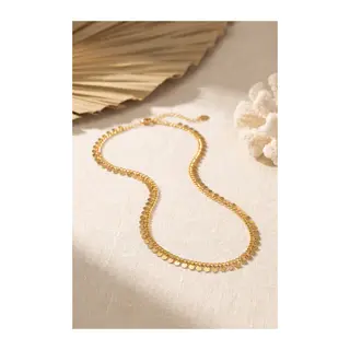 Gold Renk Pul Model 60 cm Kadın Kolye