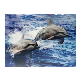 3 Boyutlu Resim Sevimli Yunuslar İkili Yunus Resmi Tablosu 30x40 cm