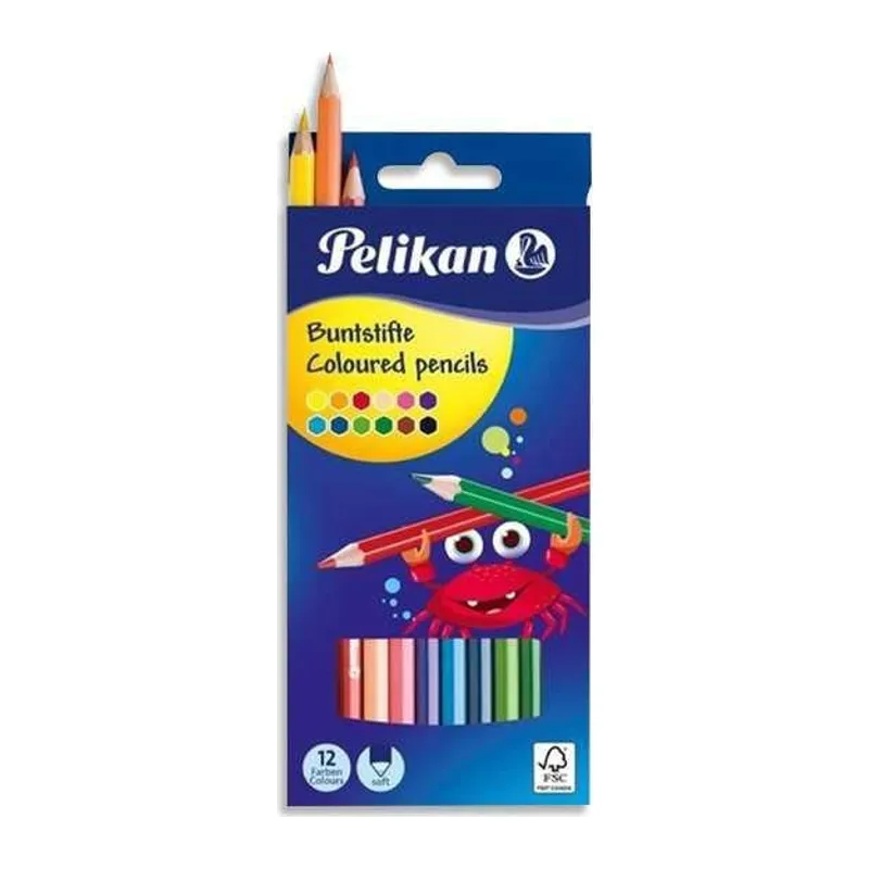 Kuru Boya Kalemi 12li Kutu