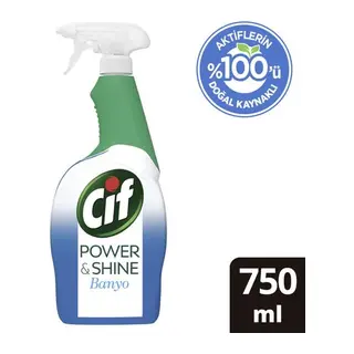 Sprey 750 ML Power & Shine Banyo 1 Adet