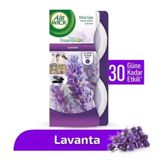 Stick Up Lavanta 2*30gr 1 Adet