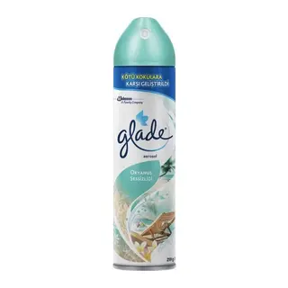 Aerosol Okyanus 300Ml 1 Adet