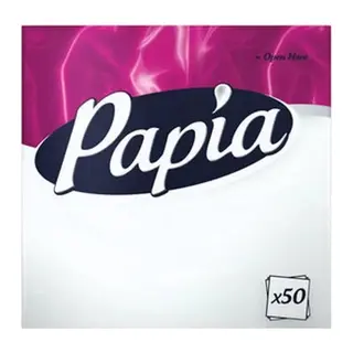 Peçete 100 lü