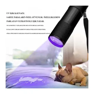 Ultraviole Para Kontrol Işığı Wt-302