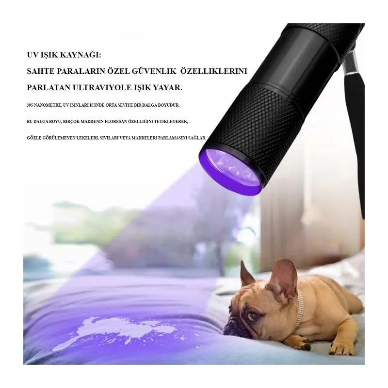 Ultraviole Para Kontrol Işığı Wt-302