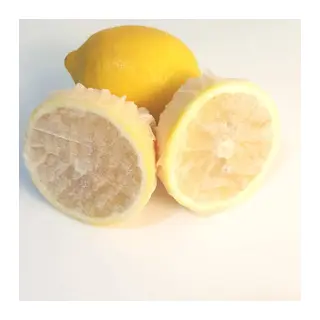 Limon Bonesi / 50 Adet / Bitki Çayı Bonesi