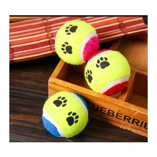 At Getir Köpek Eğitim Topu