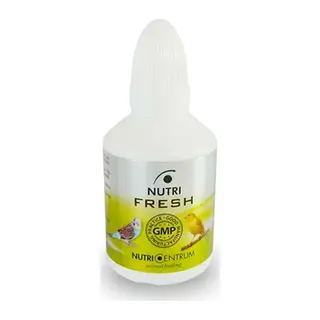 Kanarya İçin Soğuk Algınlığı Destek - Fresh