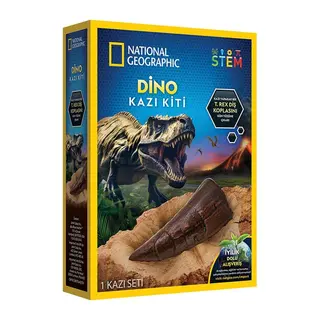 NAT06002 Dino Kazı Kiti - RTNGDINO2 +8 yaş - 1 Adet