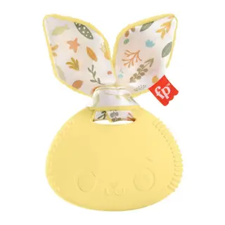 HRB19 Fisher-Price Sensimals Dişlik Seti - 1 Adet