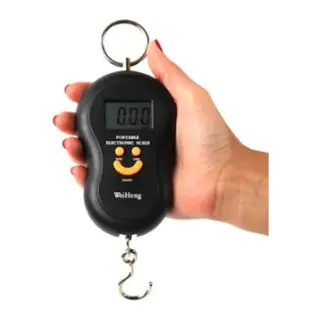 enyüz Elektronik Dijital El Kantarı 50 Kg Terazi Tartı 10 gr Hassas