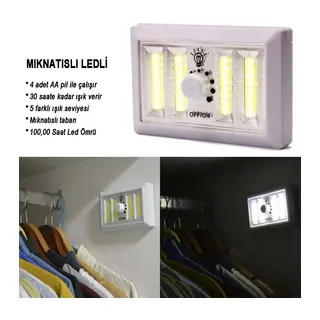 Dli Işık Seviyesi Ayarlanabilir Ledli Lamba Wt-383