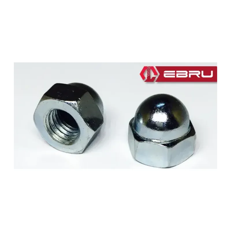 Ebru Altıköşe Kör Somun M6 - 100 Adet