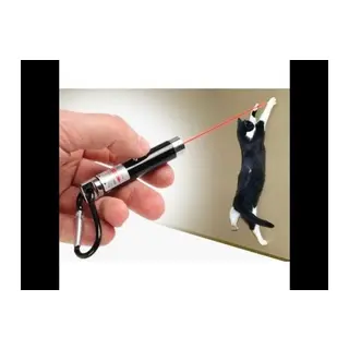 4 Yedek Başlıklı Pilli Kedi Oyuncağı Lazer lık