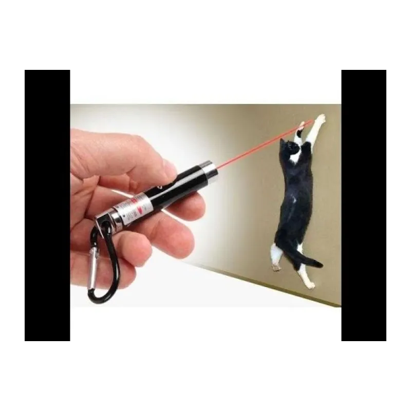 4 Yedek Başlıklı Pilli Kedi Oyuncağı Lazer lık