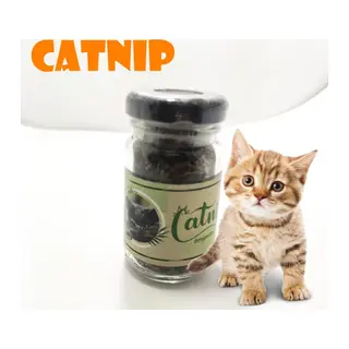 Catnip Doğal Kedi Otu - Kedi Nanesi