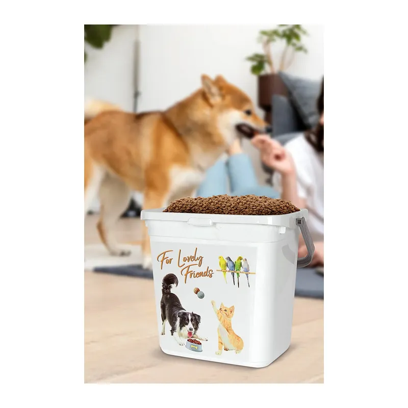 Saklama Kabı - Kapaklı Çok Amaçlı Organizer 6LT
