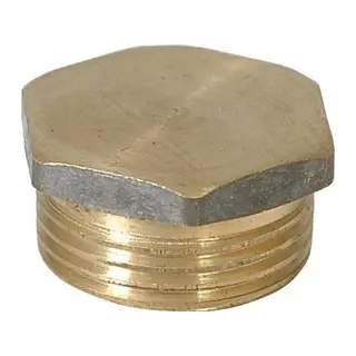 Sarı Körtapa 1/4