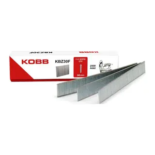 KBZ30F 30 mm 2500 Adet Çivi