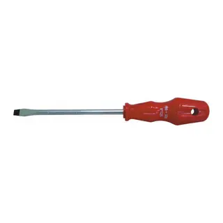Pro-Scr 02615 Düz Uçlu Tornida 5X100 mm