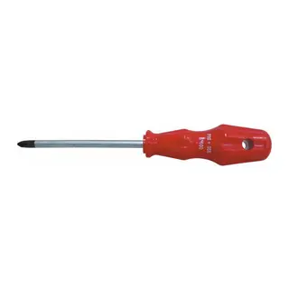 Pro-Scr 02581 Yıldız Uçlu Tornida 6X100 mm