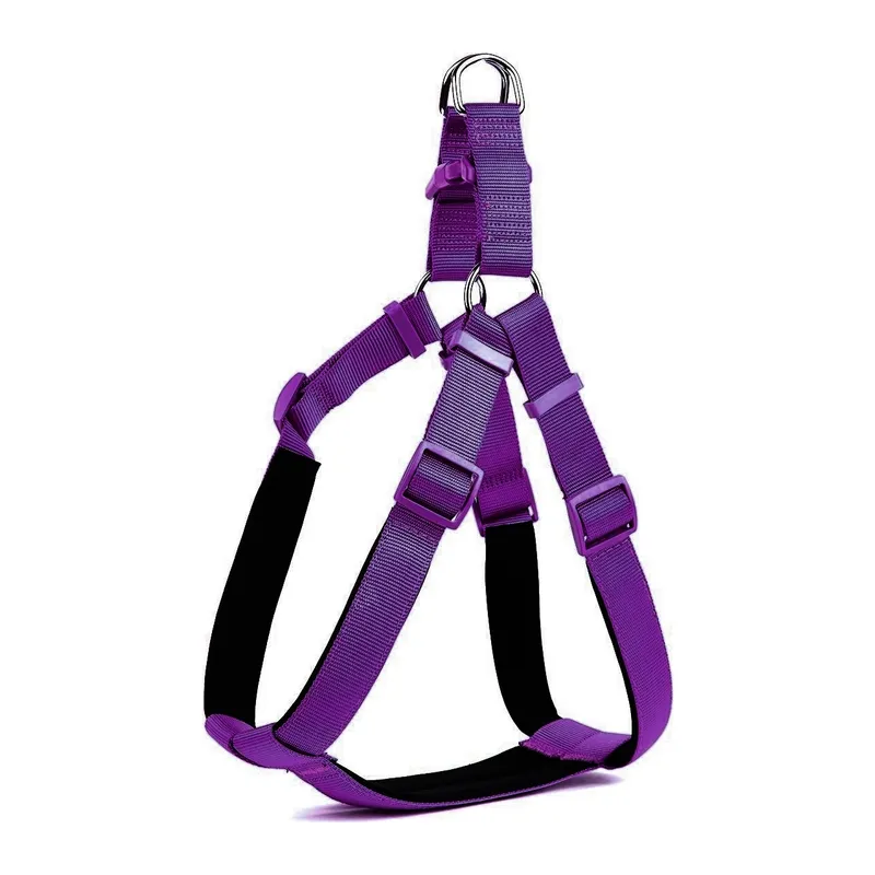 Köpek Bel Tasması 85 cm Mor
