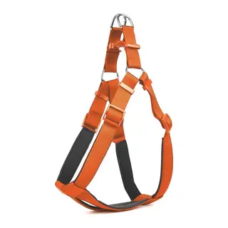 Köpek Bel Tasması 85 cm Tcu