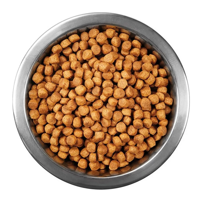 Tuklu Yetişkin Kedi sı 1 kg