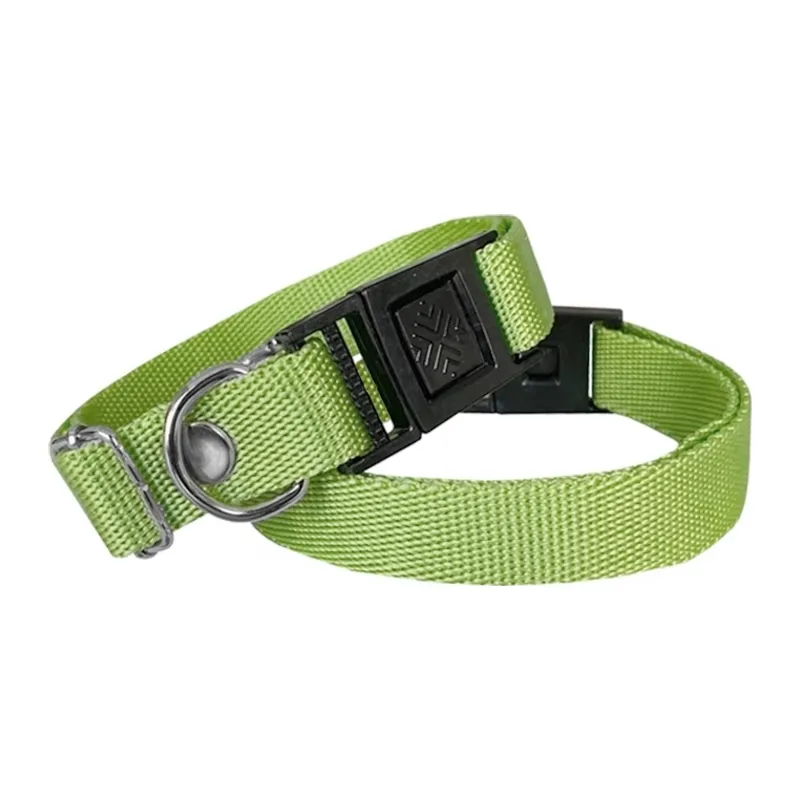 Köpek Tasması Dokuma 2 cm - Min: 30 cm - Max: 50 cm Yeşil