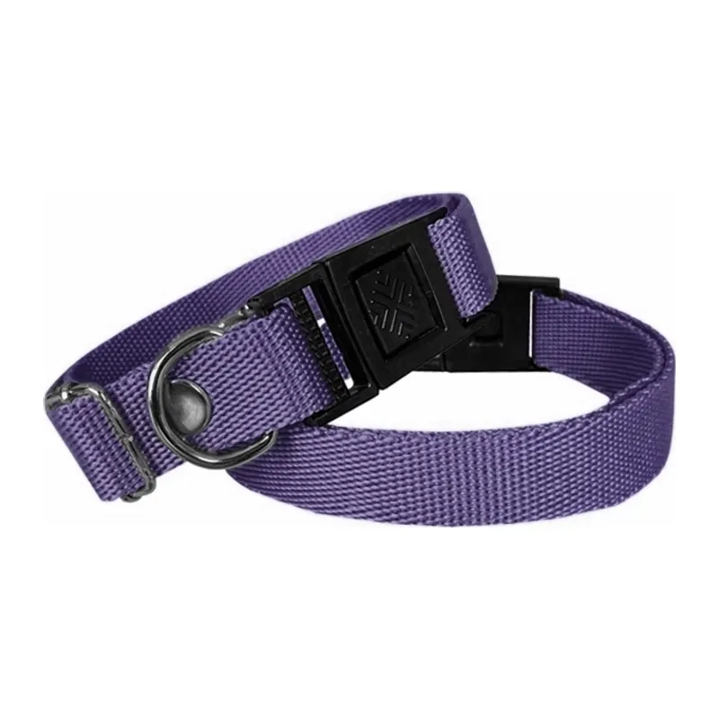 Köpek Tasması Dokuma 2 cm - Min: 30 cm - Max: 50 cm Mor