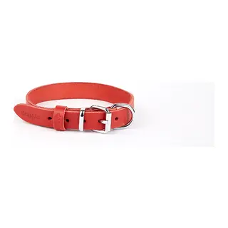 Deri El Yapımı Köpek Boyun Tasması 2x30-35 cm Kırmızı