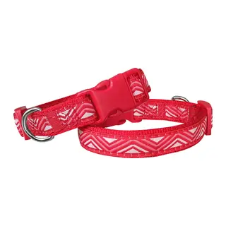 Daa Desenli Dokuma Köpek Boyun Tasması 2 cm x 31-47 cm Kırmızı