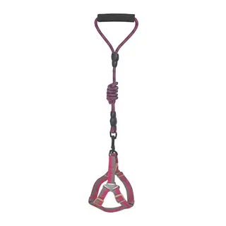 Köpek Göğüs Tasma Seti Daa Desenli 2 cm*40-58 cm Mor-Pembe